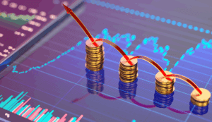 o que é margem de lucro