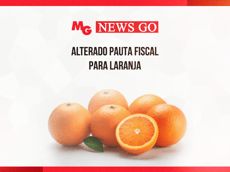 VOTADO PROJETO PARA AUMENTAR TAXAÇÃO DE BETS E PARA PRORROGAR PRAZO PARA EMPRESA DISTRIBUIR DIVIDENDOS SEM PAGAR IMPOSTO