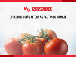 ESTADO DE GOIÁS ALTERA AS PAUTAS DE TOMATE