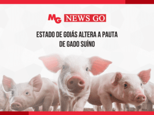 ESTADO DE GOIÁS ALTERA A PAUTA DE GADO SUÍNO