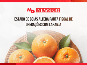 laranja laranja